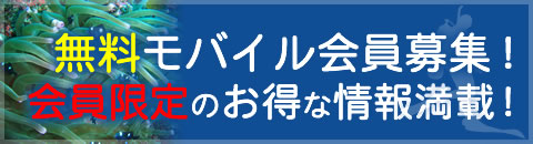 無料会員募集中